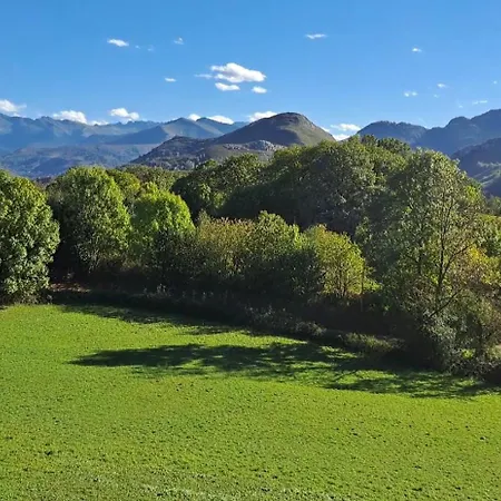 Laguës